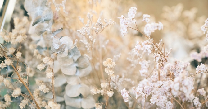 What's Going On When Your Hips Are Making Noise?